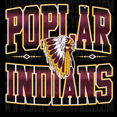 Poplar Indians Gradient Tee