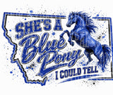 She's From Where I Could Tell Tee