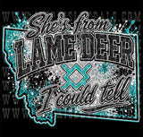 She's From Where I Could Tell Tee