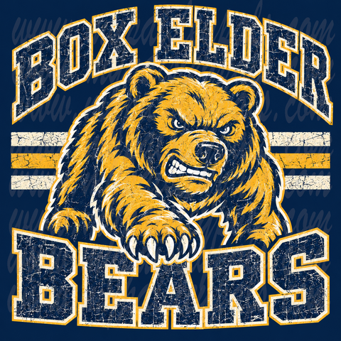 Old School Vintage Sports Tee