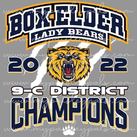 Box Elder Lady Bears District 9-C Champions